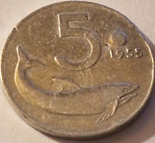 Italia moneta lire - 5, 1955